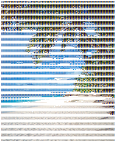 beachascci