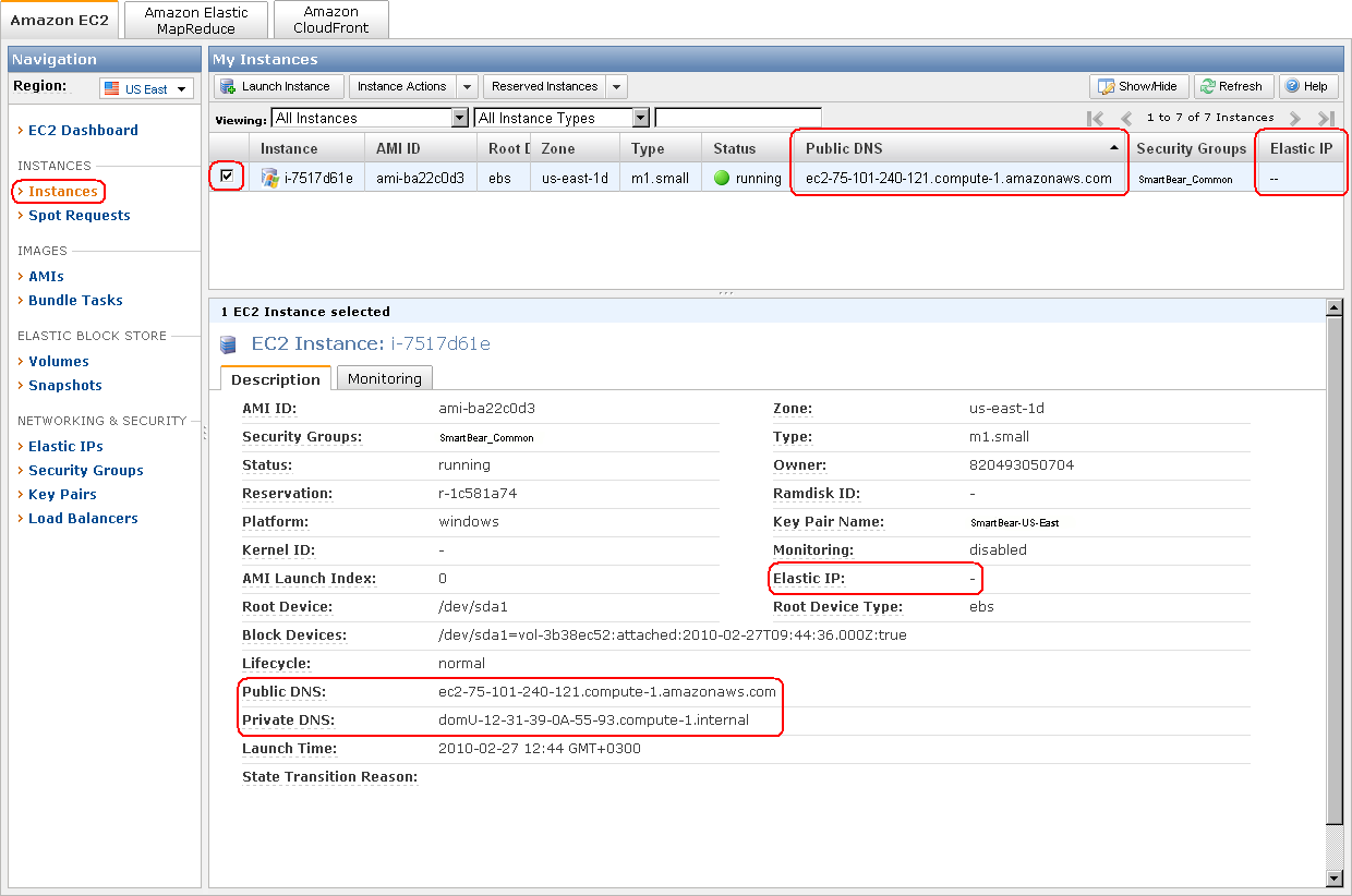The public DNS, private DNS and elastic IP addresses for the instance