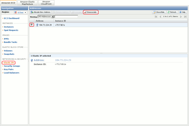 Disassociating the elastic IP from the instance