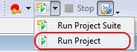 Running the Project