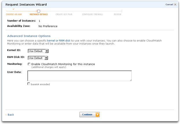 Amazon Web Services EC2 advance instance options
